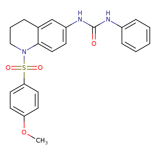 3-[1-(4-methoxybenzenesulfonyl)-1,2,3,4-tetrahydroquinolin-6-yl]-1-phenylurea
