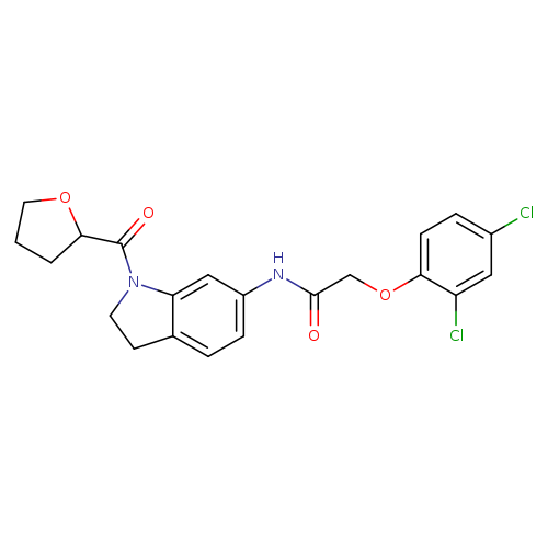 2-(2,4-dichlorophenoxy)-N-[1-(oxolane-2-carbonyl)-2,3-dihydro-1H-indol-6-yl]acetamide
