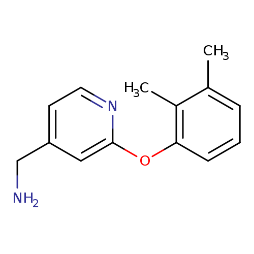 [2-(2,3-dimethylphenoxy)pyridin-4-yl]methanamine
