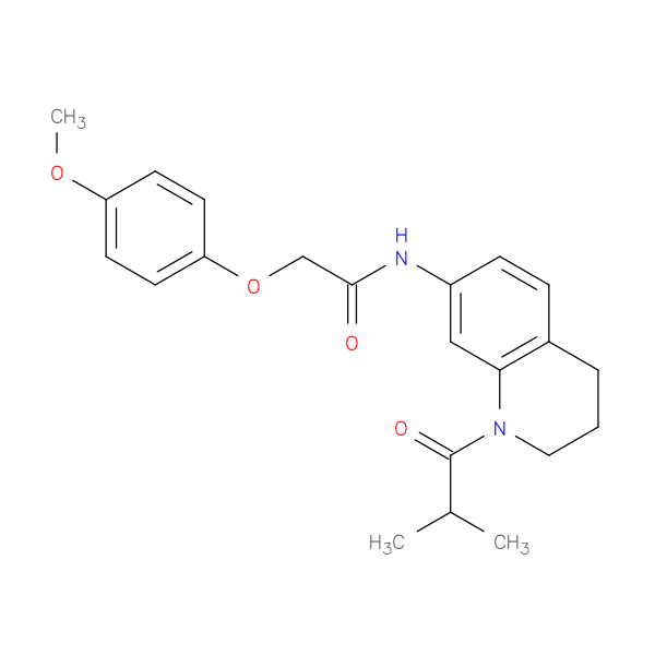 2-(4-methoxyphenoxy)-N-[1-(2-methylpropanoyl)-1,2,3,4-tetrahydroquinolin-7-yl]acetamide