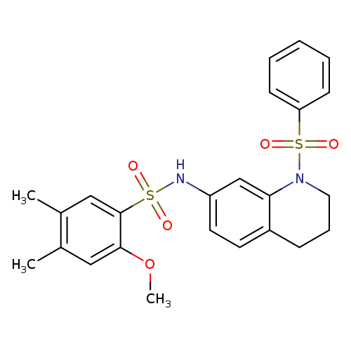 N-[1-(benzenesulfonyl)-1,2,3,4-tetrahydroquinolin-7-yl]-2-methoxy-4,5-dimethylbenzene-1-sulfonamide