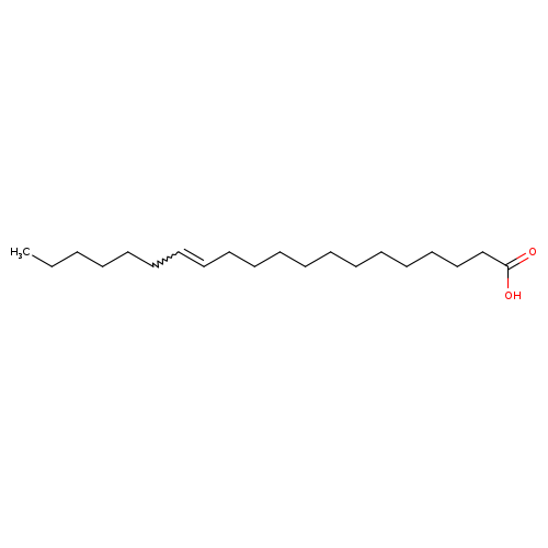 13-Eicosenoic acid, (13Z)-