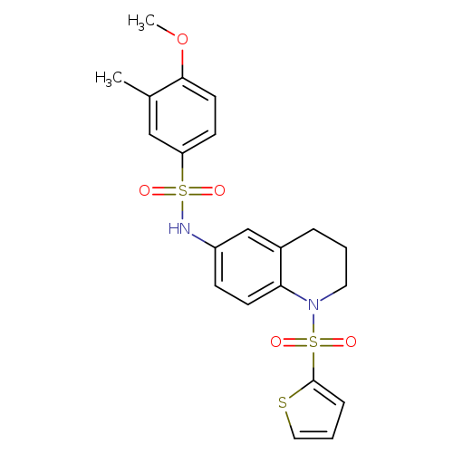 4-methoxy-3-methyl-N-[1-(thiophene-2-sulfonyl)-1,2,3,4-tetrahydroquinolin-6-yl]benzene-1-sulfonamide