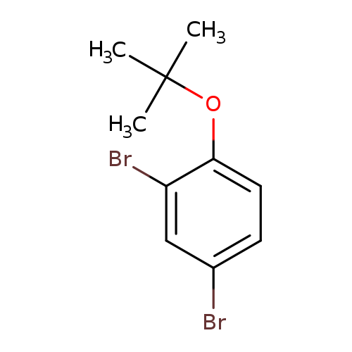2,4-Dibromo-1-tert-butoxybenzene
