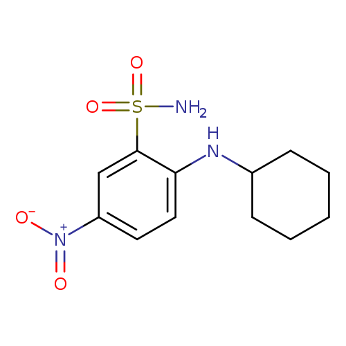 2-(cyclohexylamino)-5-nitrobenzene-1-sulfonamide