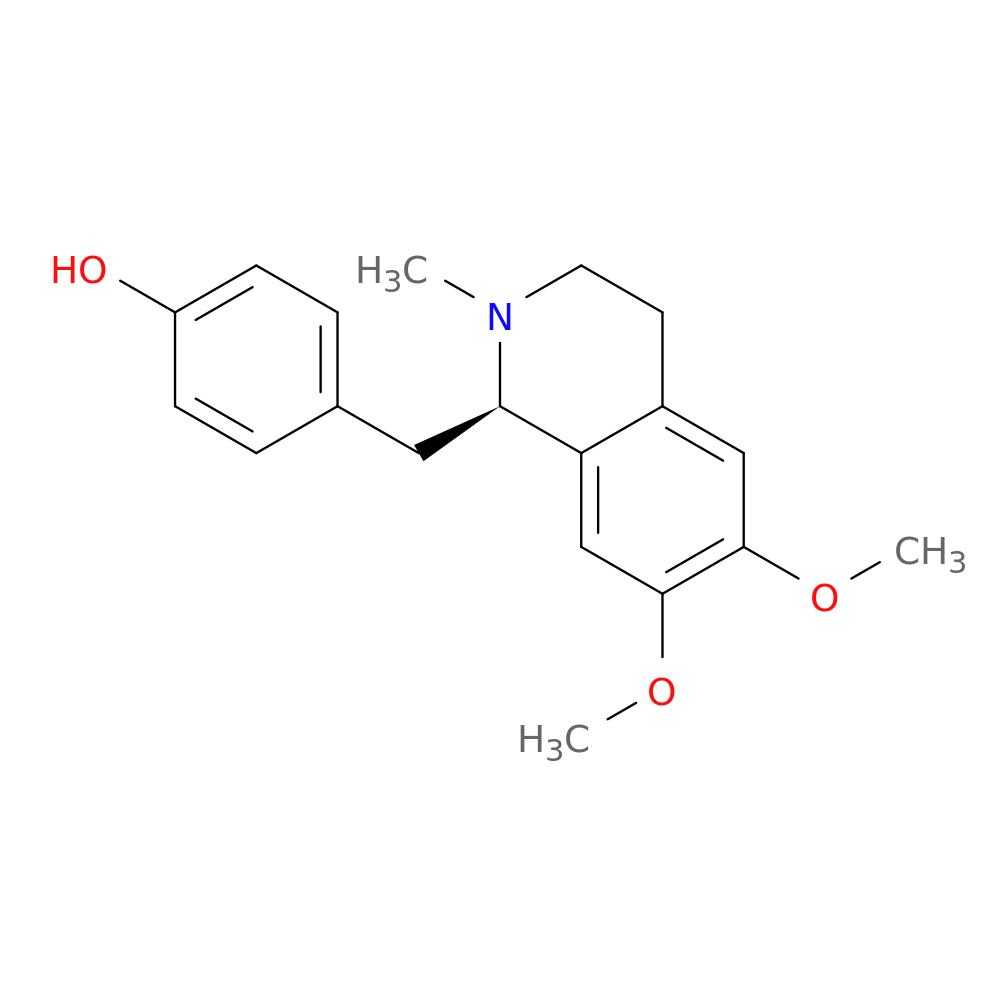 ARMEPAVINE