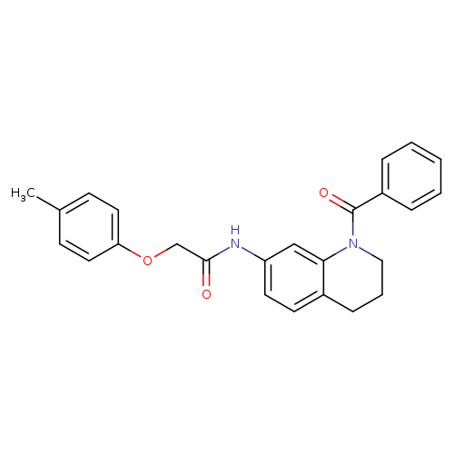 N-(1-benzoyl-1,2,3,4-tetrahydroquinolin-7-yl)-2-(4-methylphenoxy)acetamide