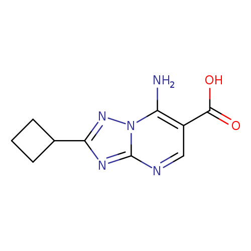 7-Amino-2-cyclobutyl[1,2,4]triazolo[1,5-a]pyrimidine-6-carboxylic acid