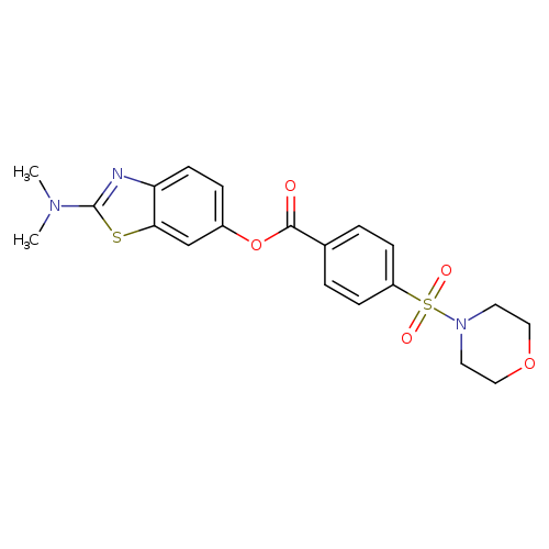 2-(dimethylamino)-1,3-benzothiazol-6-yl 4-(morpholine-4-sulfonyl)benzoate