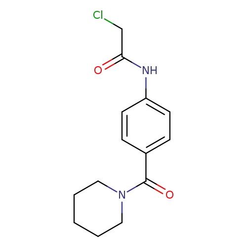 2-Chloro-n-[4-(piperidin-1-ylcarbonyl)phenyl]acetamide