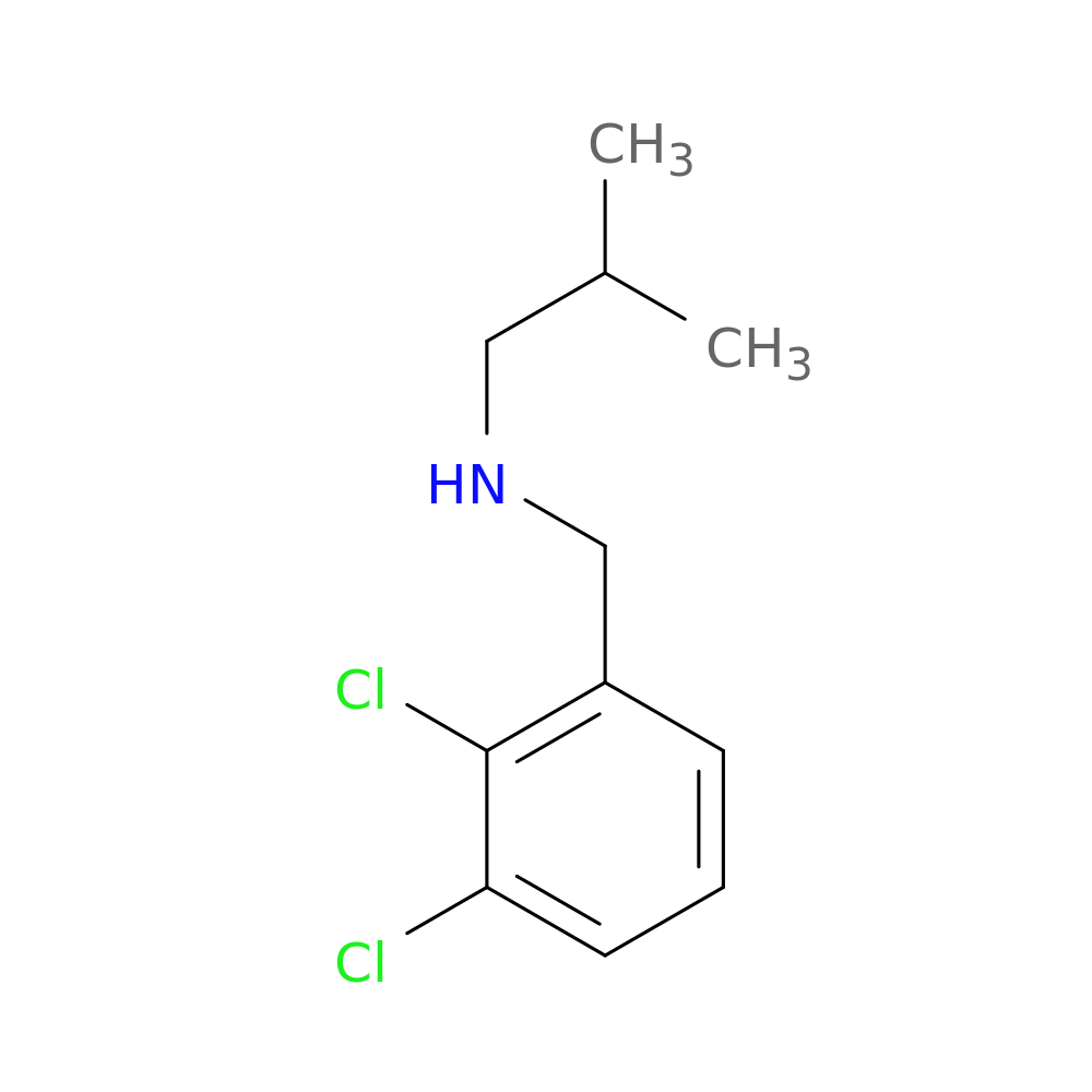 [(2,3-dichlorophenyl)methyl](2-methylpropyl)amine
