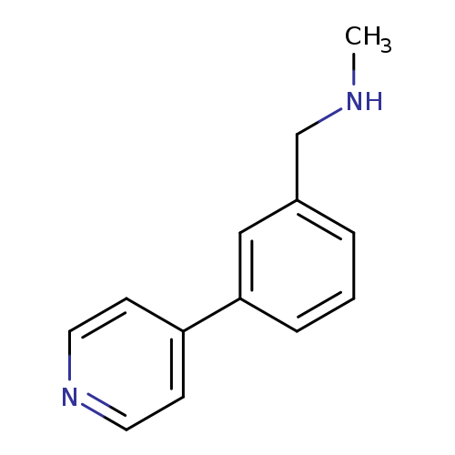 N-METHYL-N-(3-PYRIDIN-4-YLBENZYL)AMINE
