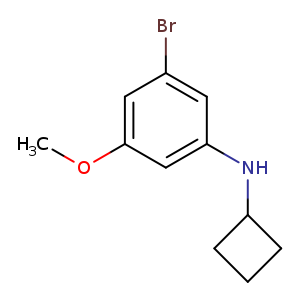 3-Bromo-n-cyclobutyl-5-methoxyaniline