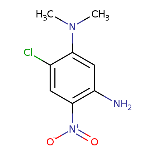 4-chloro-N3,N3-dimethyl-6-nitro-benzene-1,3-diamine