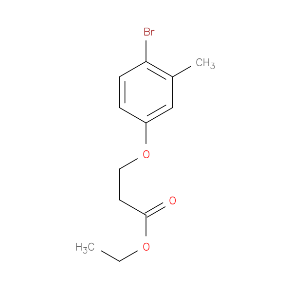 Ethyl 3-(4-bromo-3-methylphenoxy)propanoate
