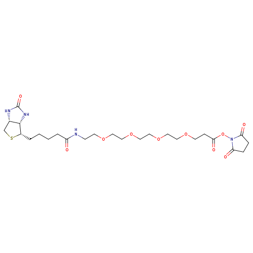 21-[(3aS,4S,6aR)-Hexahydro-2-oxo-1H-thieno[3,4-d]imidazol-4-yl]-17-oxo-4,7,10,13-tetraoxa-16-azaheneicosanoic acid 2,5-dioxo-1-pyrrolidinyl ester