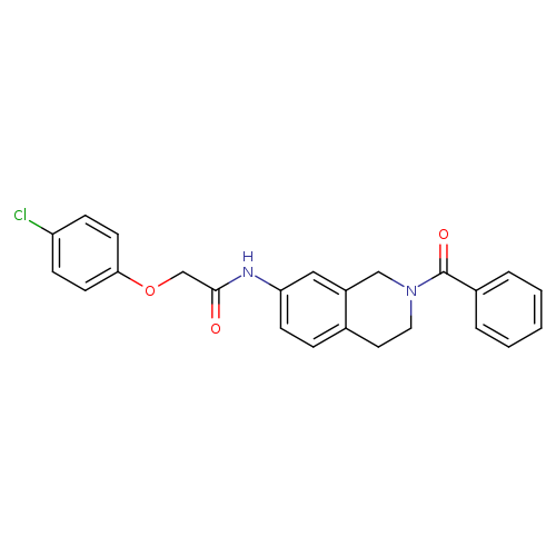 N-(2-benzoyl-1,2,3,4-tetrahydroisoquinolin-7-yl)-2-(4-chlorophenoxy)acetamide