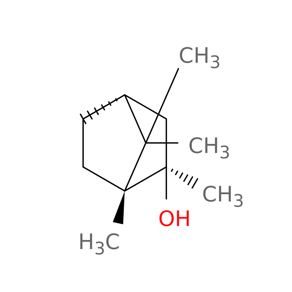 2-Methylisoborneol solution