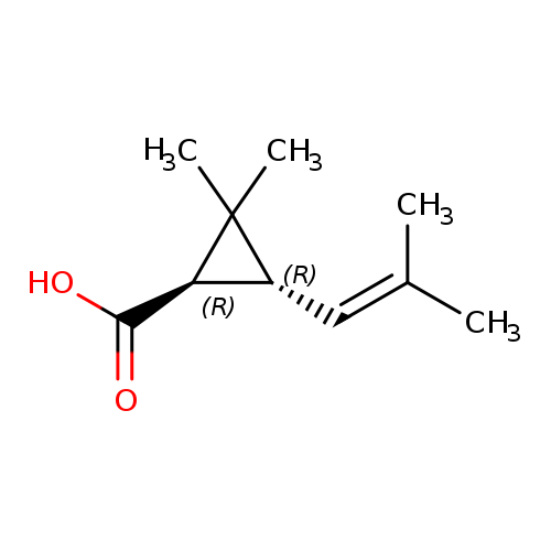 Trans-(+)-chrysanthemic acid