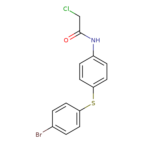 N-{4-[(4-BROMOPHENYL)THIO]PHENYL}-2-CHLOROACETAMIDE