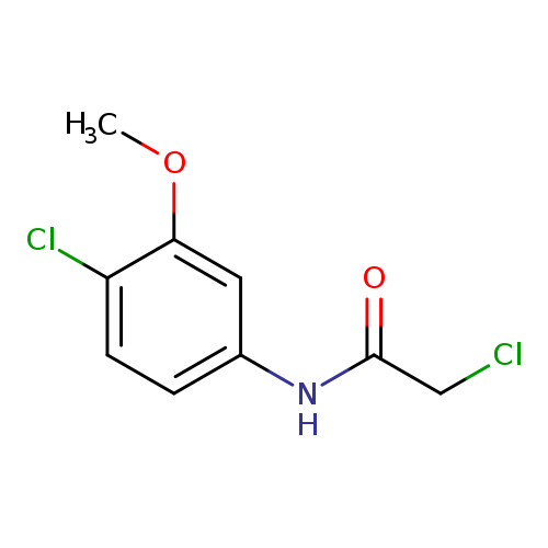 2-Chloro-N-(4-chloro-3-methoxyphenyl)acetamide