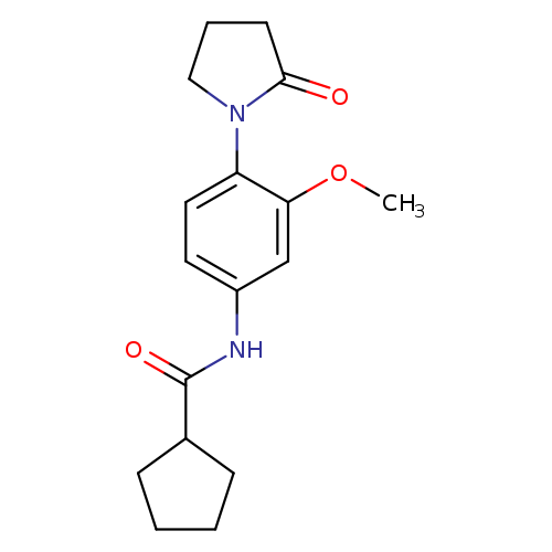 N-[3-methoxy-4-(2-oxopyrrolidin-1-yl)phenyl]cyclopentanecarboxamide
