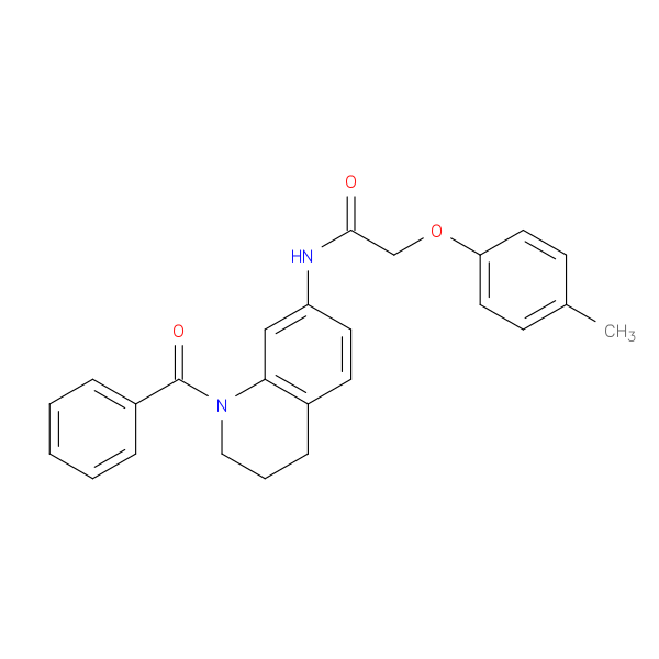N-(1-benzoyl-1,2,3,4-tetrahydroquinolin-7-yl)-2-(4-methylphenoxy)acetamide