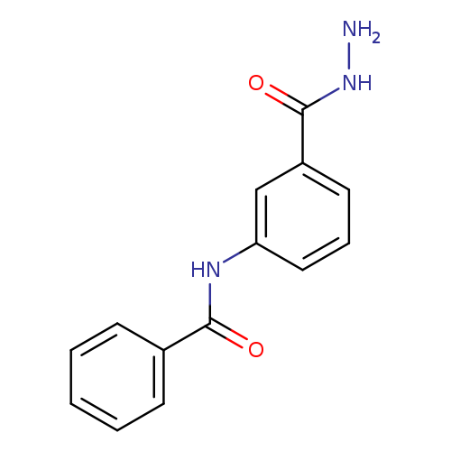 N-[3-(Hydrazinocarbonyl)phenyl]benzamide