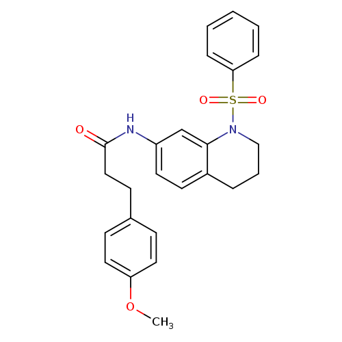 N-[1-(benzenesulfonyl)-1,2,3,4-tetrahydroquinolin-7-yl]-3-(4-methoxyphenyl)propanamide