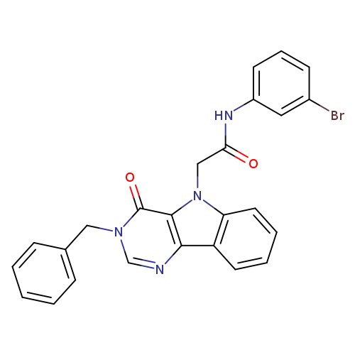 2-{3-benzyl-4-oxo-3H,4H,5H-pyrimido[5,4-b]indol-5-yl}-N-(3-bromophenyl)acetamide