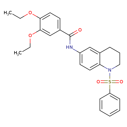 N-[1-(benzenesulfonyl)-1,2,3,4-tetrahydroquinolin-6-yl]-3,4-diethoxybenzamide