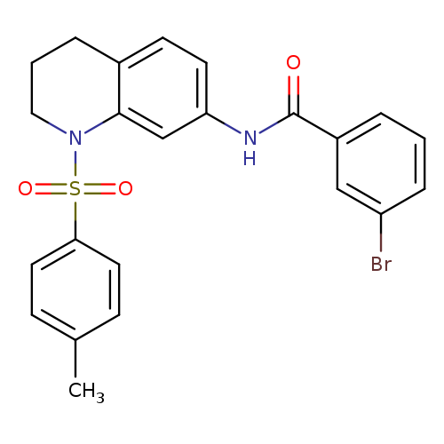 3-bromo-N-[1-(4-methylbenzenesulfonyl)-1,2,3,4-tetrahydroquinolin-7-yl]benzamide