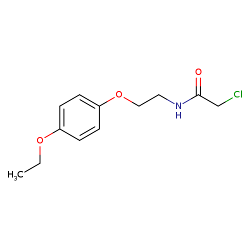 2-chloro-N-[2-(4-ethoxyphenoxy)ethyl]acetamide