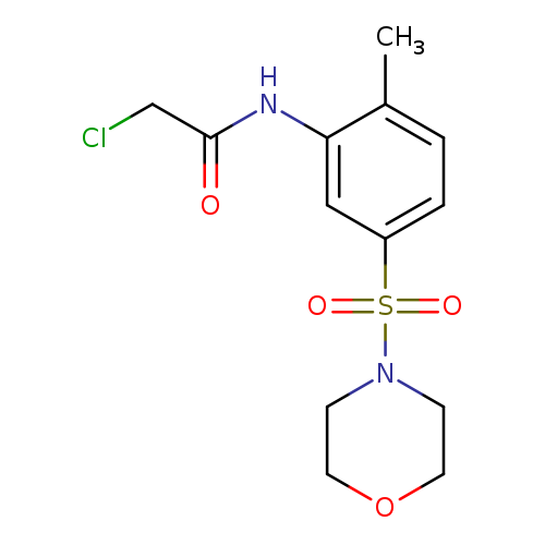2-chloro-N-[2-methyl-5-(morpholine-4-sulfonyl)phenyl]acetamide