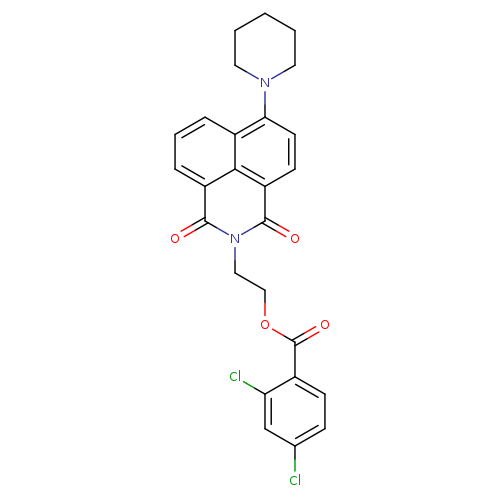 2-[2,4-dioxo-8-(piperidin-1-yl)-3-azatricyclo[7.3.1.0^{5,13}]trideca-1(13),5,7,9,11-pentaen-3-yl]ethyl 2,4-dichlorobenzoate