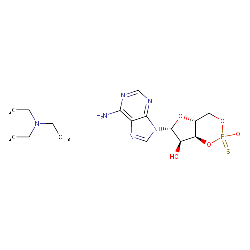 Rp-Adenosine 3′,5′-cyclic Monophosphorothioate, Sodium Salt
